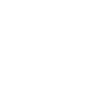 logo-amnails-wit
